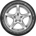 Шина GOODYEAR Eagle F1 Asymmetric 5 255/40 R19 100Y 549694