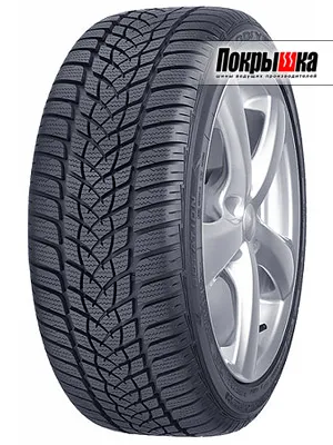 Шины Goodyear UltraGrip Performance 2