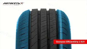 Goodyear EfficientGrip 2 SUV ☀️: обзор шины и отзывы ● Автосеть ●