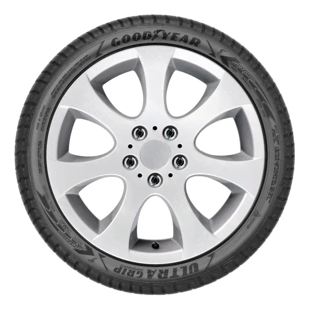 Шины Goodyear UltraGrip Performance Gen-1 R19 в Москве-1