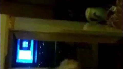 прикол